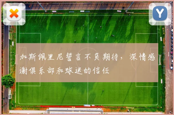 加斯佩里尼誓言不负期待,深情感谢俱乐部和球迷的信任